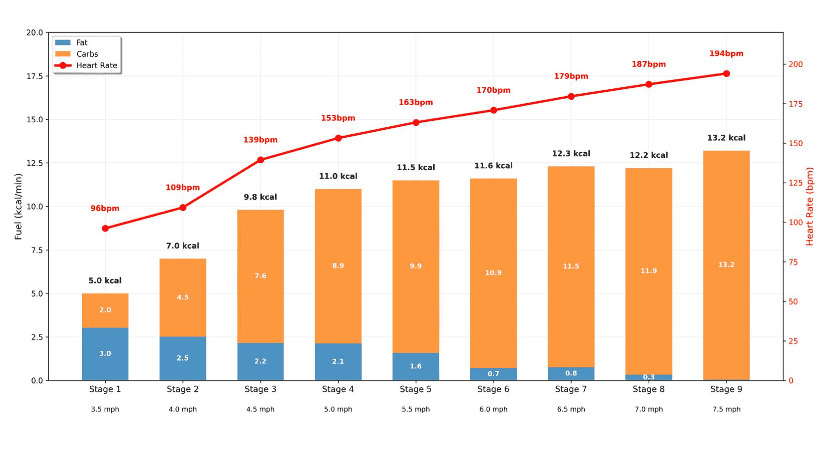 Health Tech Report Automation Case Study Results